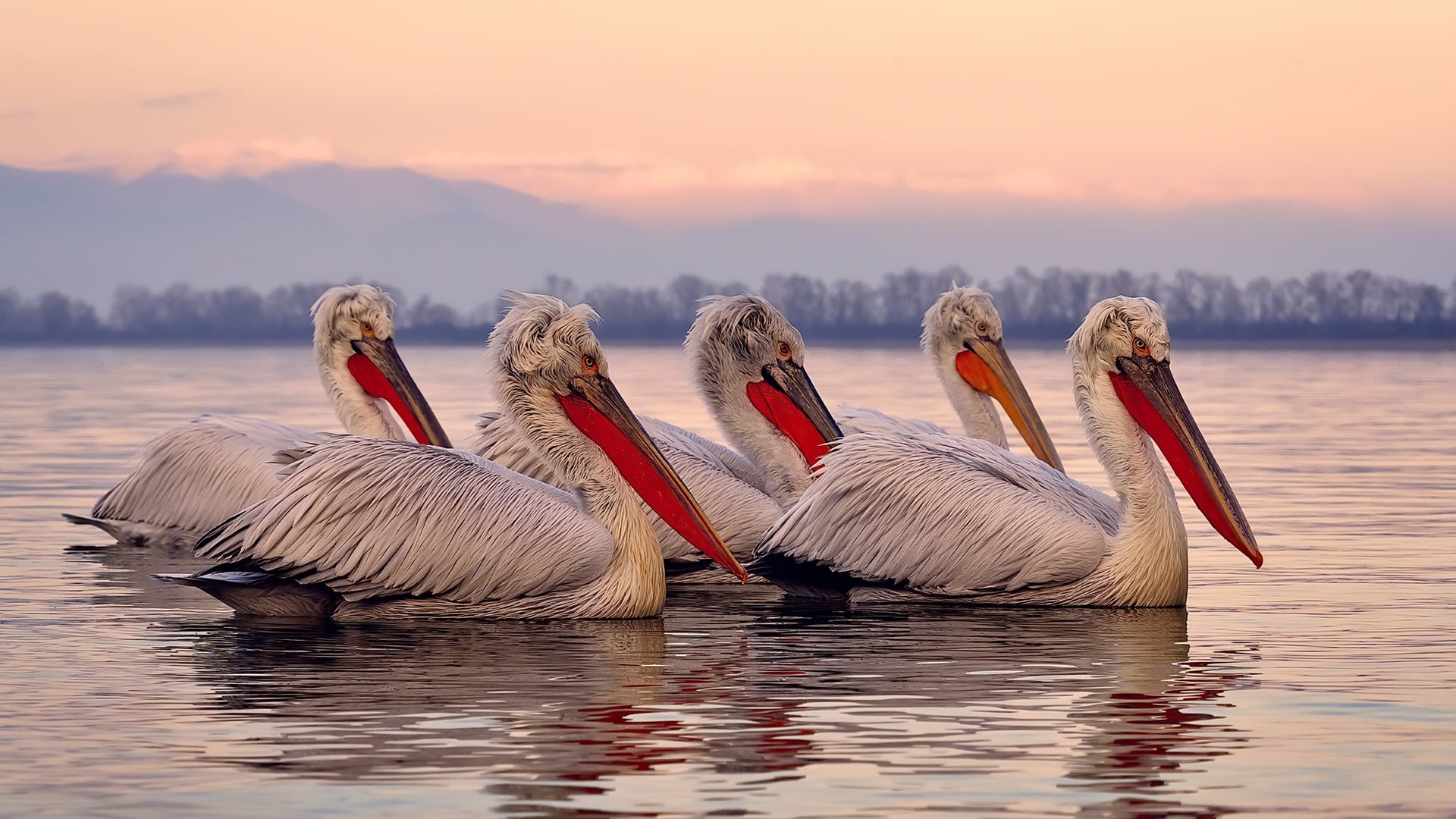 开云体育官方网站登陆-_红土认证系列：硬核比赛挑战极限_，什么是红土