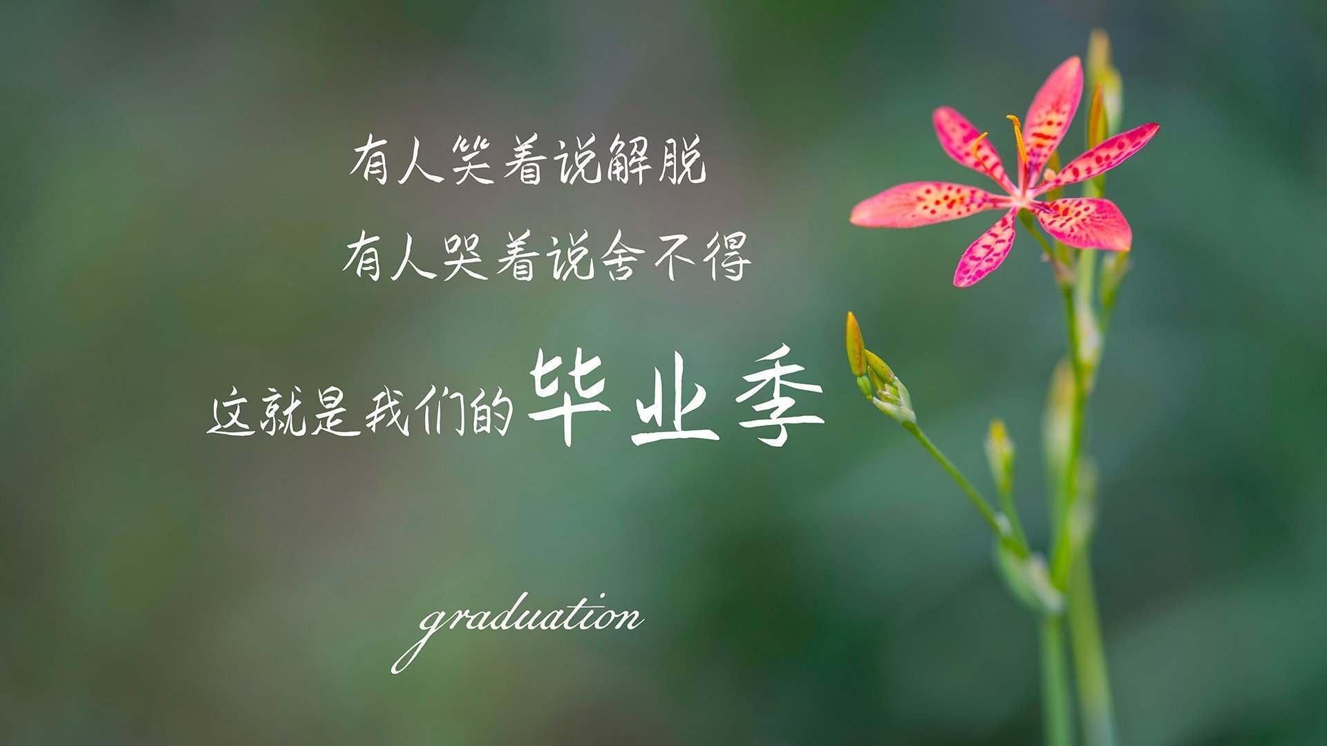 “泥浆飞扬:雨后泥地的疯狂追逐”,泥浆视频