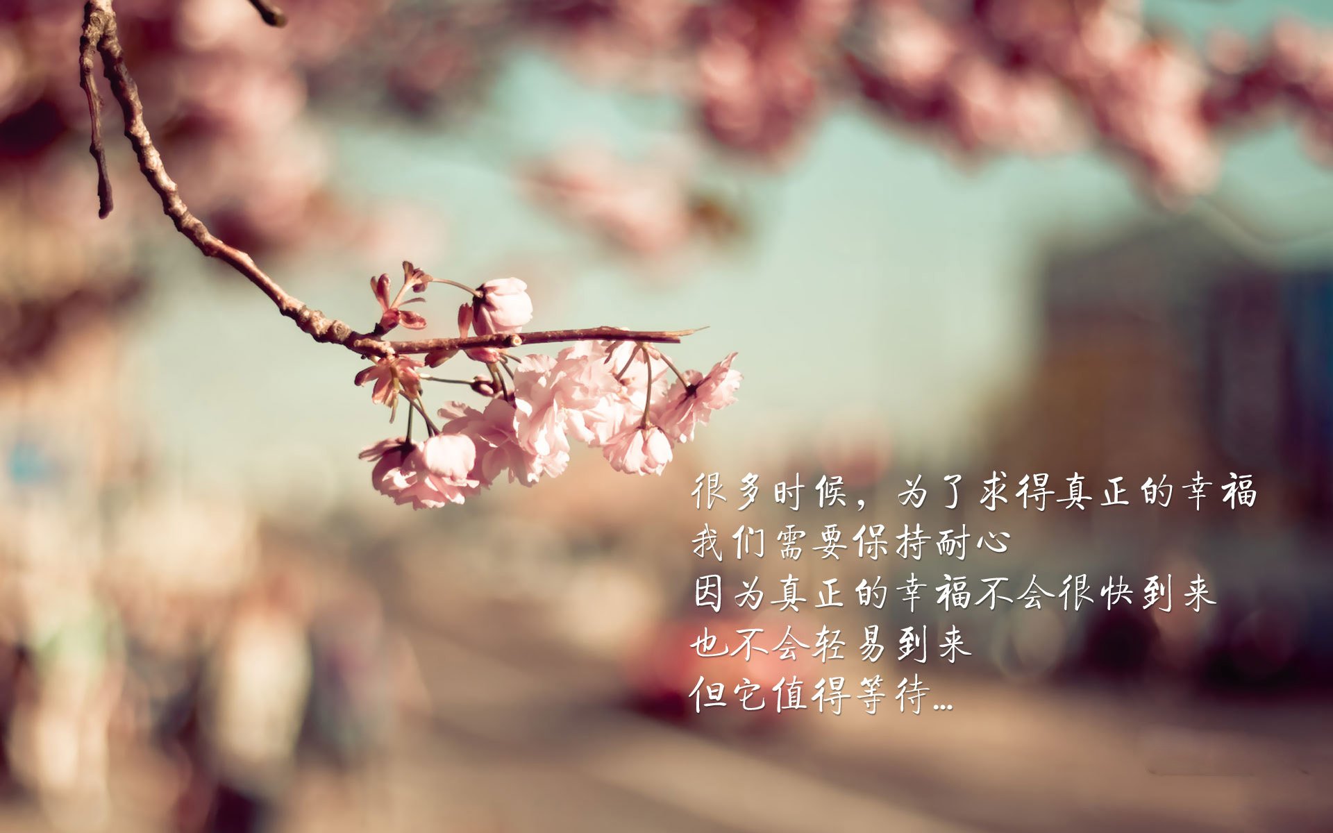 kaiyun网站-《电竞黄金年龄：青训体系加速培养新星》，电竞黄金年龄到底是多少